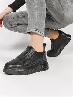 �������/ ��������